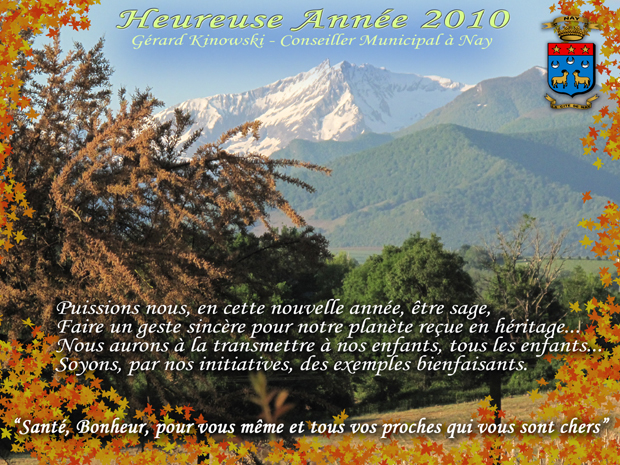 Voeux 2010 web